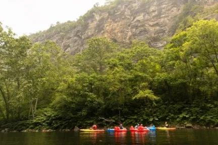 a boat floating along a river next to a body of water