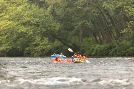a group of people riding on the back of a boat in the water